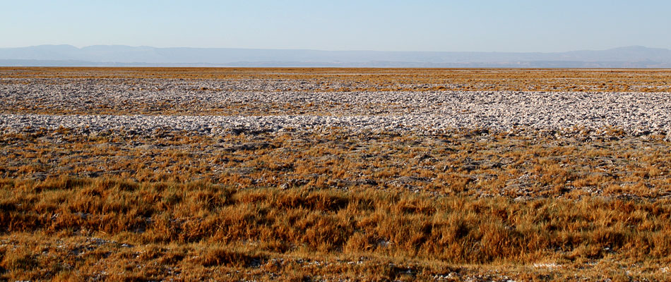 Andestraveller Salar de Tara Atacama